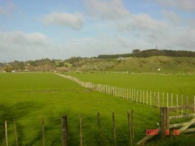 'GATEWAY TO WANGANUI' Picture