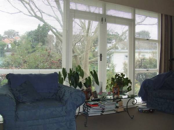 WATCH THE SUN GO DOWN ... Picture 3