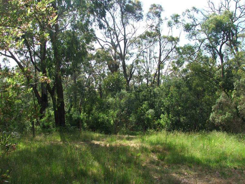 1 ACRE OF MOTHER NATURE! Picture 3