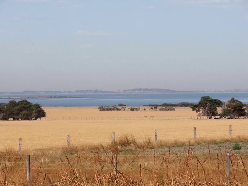 PANORAMIC BAY AND RURAL VISTAS Picture 2