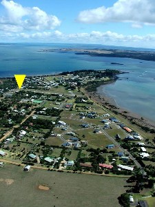 BLANK CANVAS! Picture BLANK CANVAS! Picture