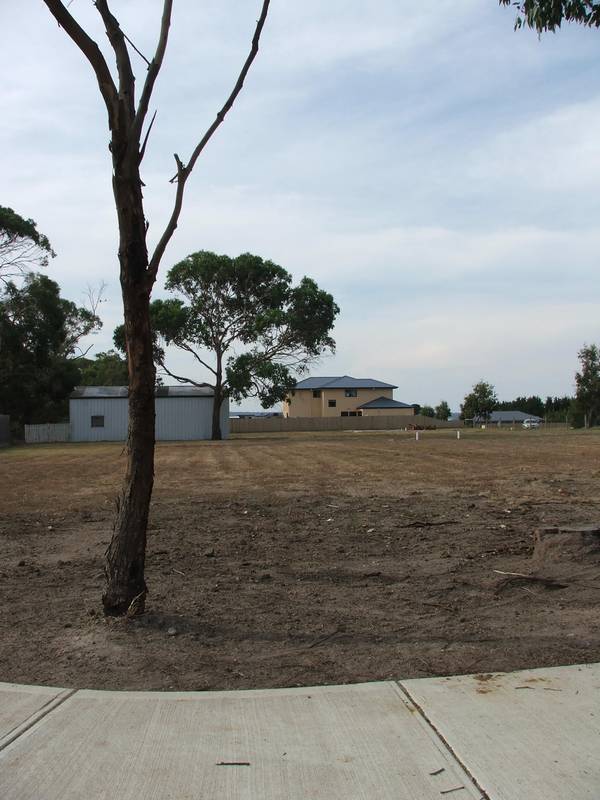 BLANK CANVAS! Picture 2