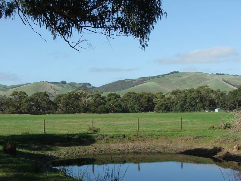 LIFESTYLE OPPORTUNITY!! Picture 2