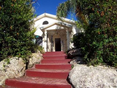 AN ABSOLUTE WINNER Picture AN ABSOLUTE WINNER Picture