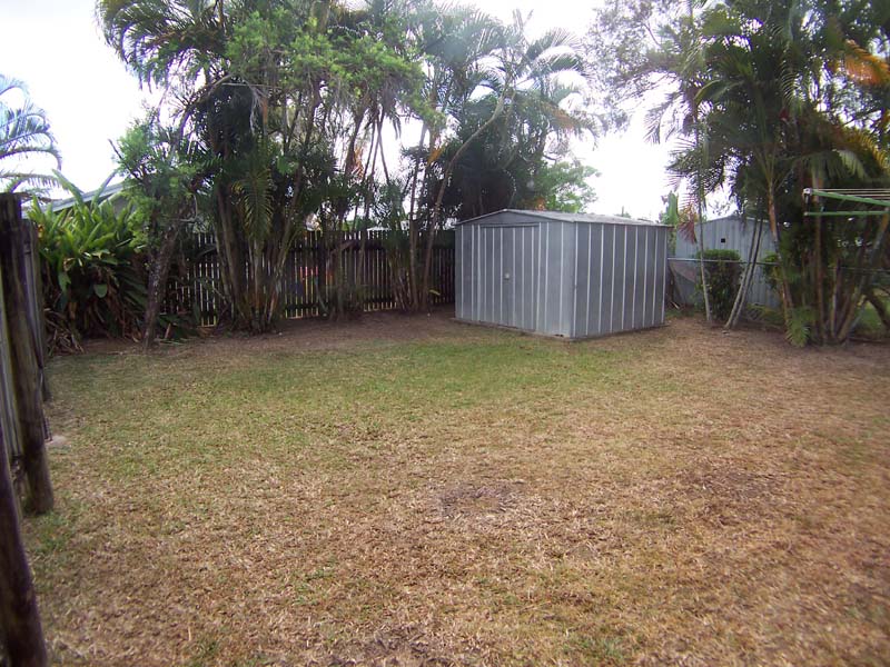 CLOSE TO EVERYTHING Picture