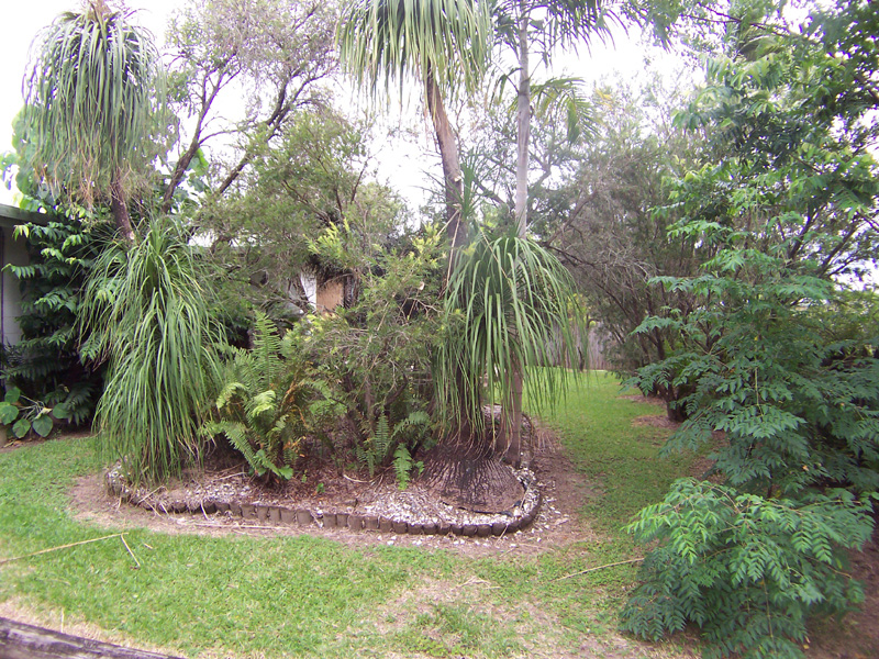 SENSATIONAL RENOVATED FAMILY HOME Picture 2