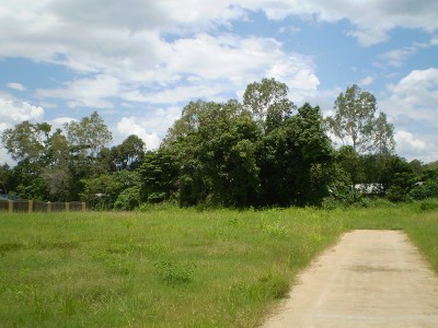 Developer Liquidates Land Picture Developer Liquidates Land Picture