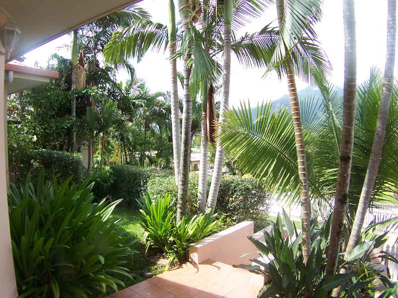 EXECUTIVE STYLE RESIDENCE Picture 3