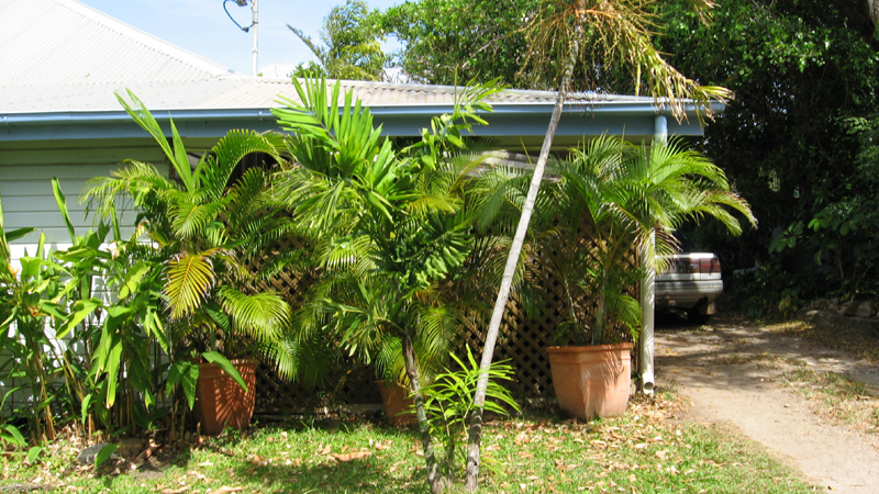 REDUCED $20,000 - GOT TO GO Picture 2