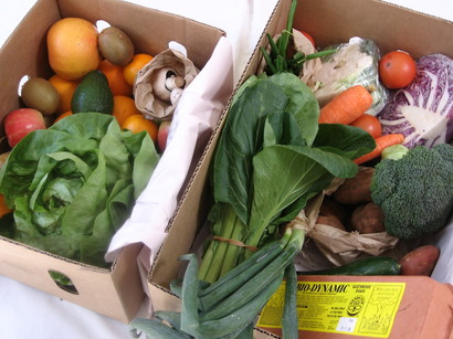 BUSINESS FOR SALE - RETAIL - RETAIL FOOD/BEVERAGE - FRUIT & VEG STORE WITH JUICE BAR Picture 1