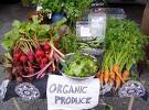 BUSINESS FOR SALE - RETAIL - HEALTH - THE ORGANIC FOODSTORE Picture 1