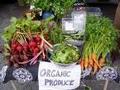 BUSINESS FOR SALE - RETAIL - HEALTH - THE ORGANIC FOODSTORE Picture