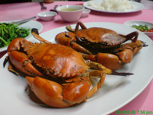 Business for Sale - CRUISE THE BROADWATER Picture 1