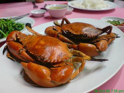 Business for Sale - CRUISE THE BROADWATER Picture