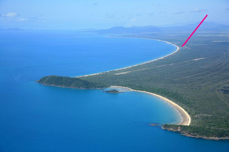 WHAT A LITTLE GEM Picture 2