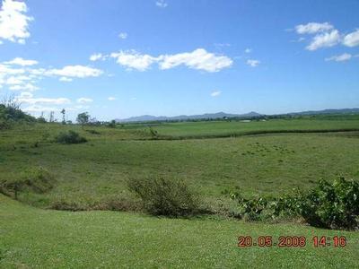 Cattle,Small Crop, Aquaculture, Life Style, Quarry Picture