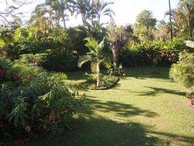 GARDENERS DELIGHT Picture GARDENERS DELIGHT Picture