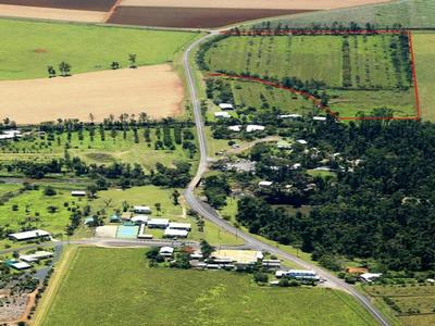 EX ORCHARD Picture EX ORCHARD Picture