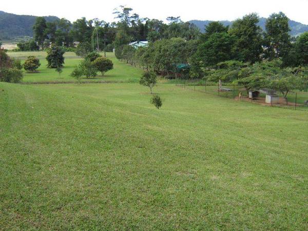 MOUNTAIN TOP VIEWS Picture 2