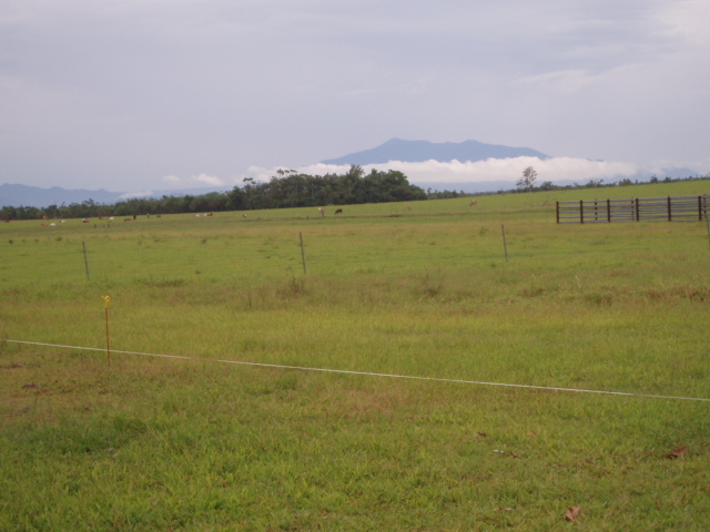 CATTLE PROPERTY
CLOSE TO HARBOUR Picture 1