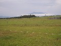 CATTLE PROPERTY
CLOSE TO HARBOUR Picture