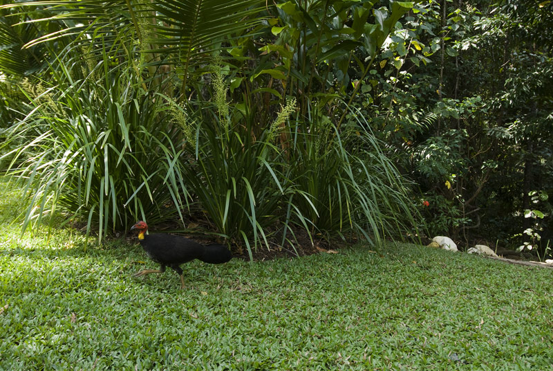 NATURE REFUGE Picture 3