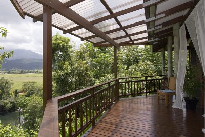 BACK TO NATURE Picture BACK TO NATURE Picture