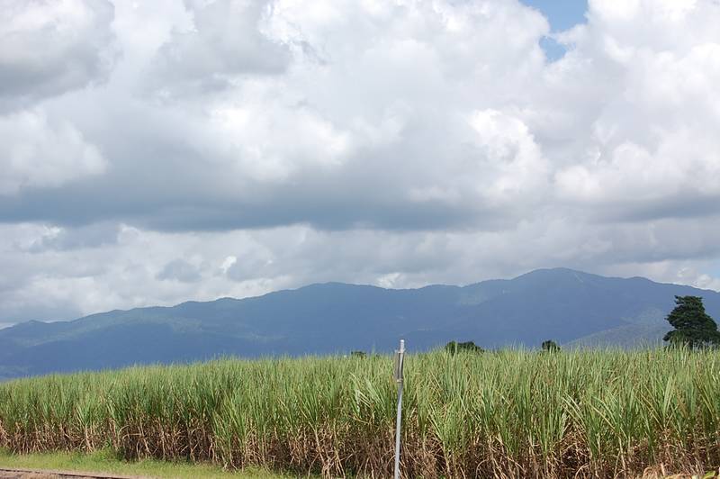 SILKWOOD VILLAGE Picture 3