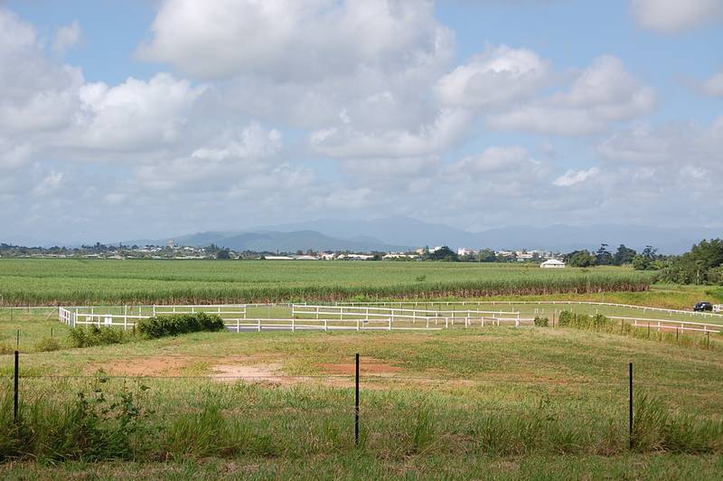 PUT YOUR HOUSE HERE! Picture 2