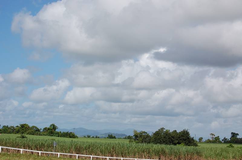 1 ACRE BLOCK WITH CREEK Picture 3