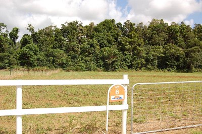 1 ACRE BLOCK WITH CREEK Picture 1 ACRE BLOCK WITH CREEK Picture