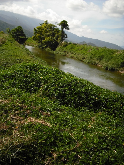 ACREAGE ONLY
MINUTES FROM BABINDA Picture 2