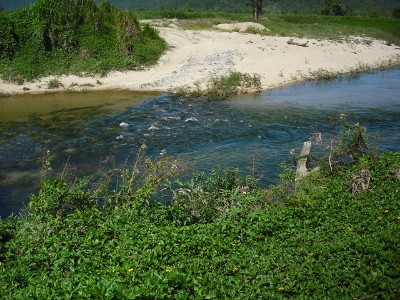 ACREAGE ONLY
MINUTES FROM BABINDA Picture ACREAGE ONLY
MINUTES FROM BABINDA Picture