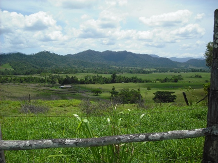 ARE YOU HANDY WITH A HAMMER Picture 1