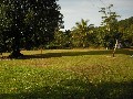 VACANT LAND BABINDA Picture