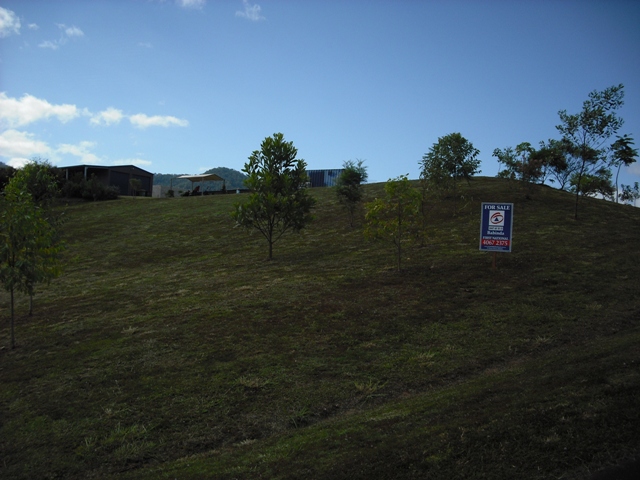 (REDUCED) APPROX 1 ACRE + SHED INCLUDES KITCHEN AND BATHROOM Picture 2