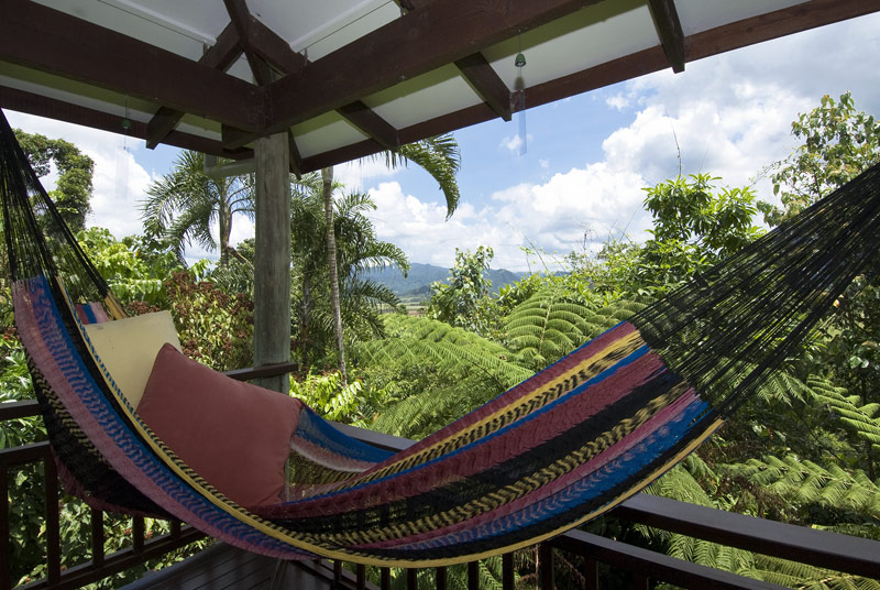 RARELY AVAILABLE Picture 3