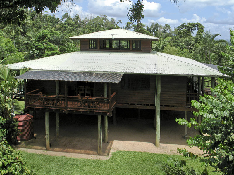 CASSOWARY WATCH Picture 2