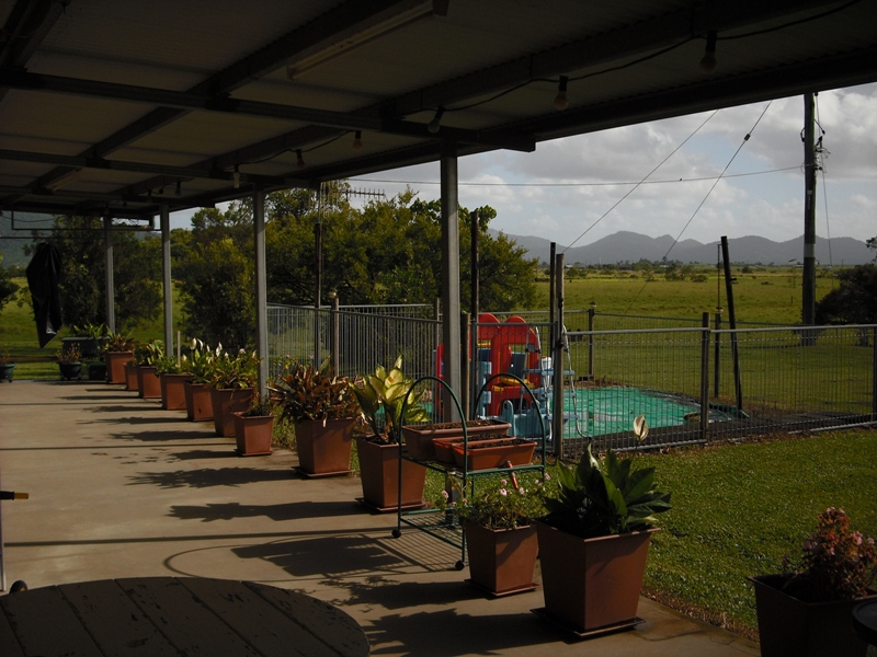 CHECK THIS OUT Picture 3