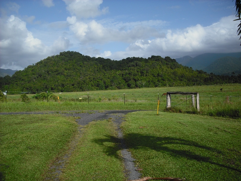 CHECK THIS OUT Picture 2