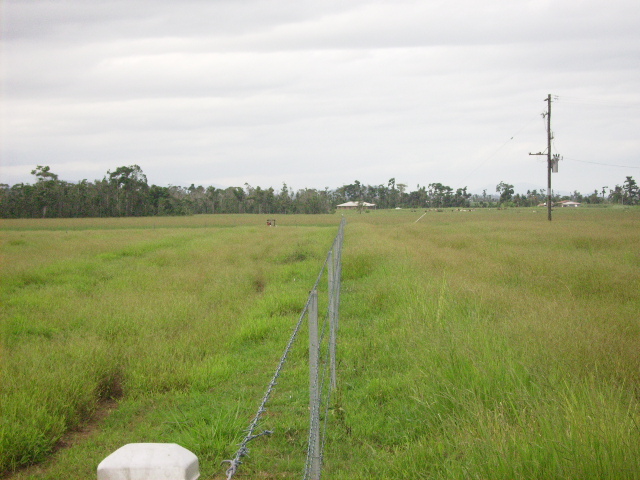 REDUCED...CATTLE OR LIFESTYLE? Picture 3