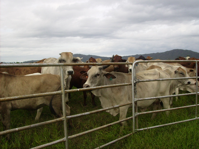 WAITING TO GREET YOU Picture 1