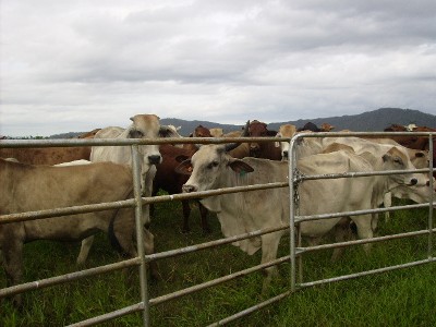 WAITING TO GREET YOU Picture WAITING TO GREET YOU Picture