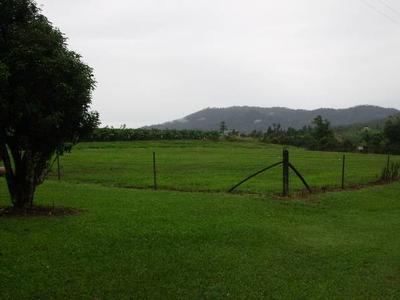 HUGE LOWSET HOME ON 10 ACRES Picture