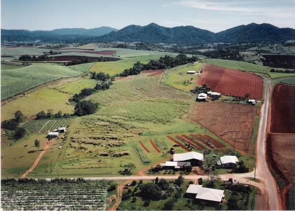 PEACE AND TRANQUILITY IN THE COUNTRY Picture 1