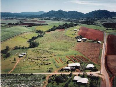 PEACE AND TRANQUILITY IN THE COUNTRY Picture