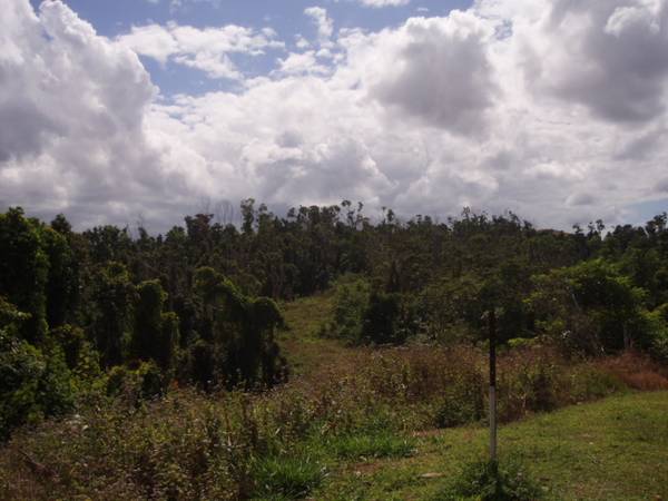 RAINFOREST
HIDEAWAY Picture 2