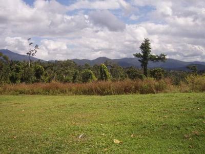 RAINFOREST
HIDEAWAY Picture