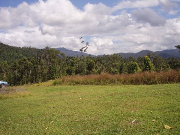 RAINFOREST
HIDEAWAY Picture 3