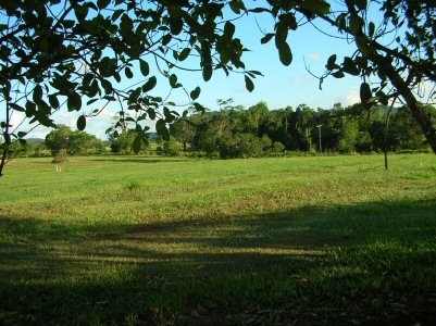 LARGE BLOCK - VERY PRIVATE Picture 1
